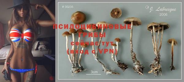 дмт Бородино