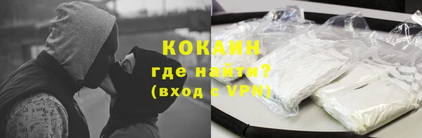дмт Бородино