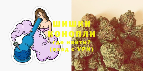 бошки Богородицк